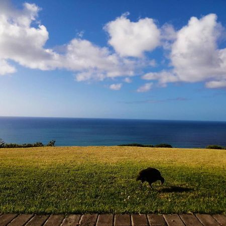 Dana Bay B&B Guest House Mossel Bay Luaran gambar